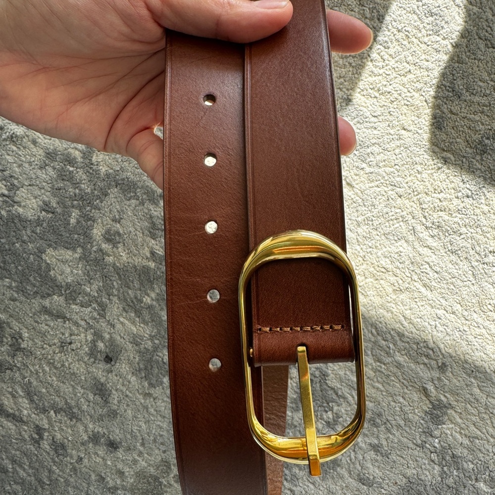 Aritzia Brown Leather Belt with Gold Buckle